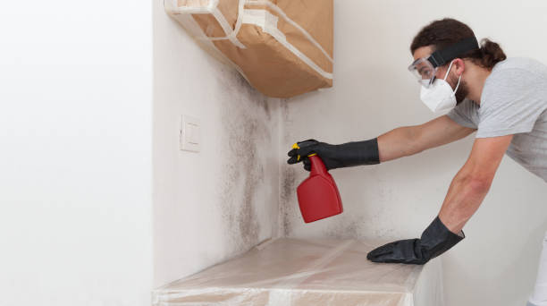 Professional Attic Mold Removal technician working in Matawan, NJ