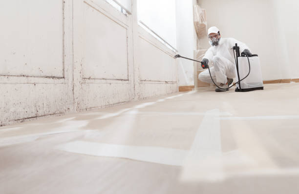 24/7 Emergency Attic Mold Removal experts in Matawan, NJ