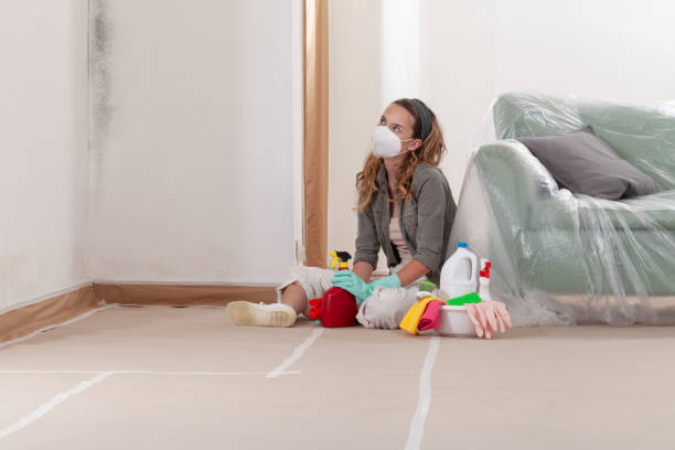 Reliable Mold Cleanup contractor in Matawan, NJ by Cheap Mold Removal